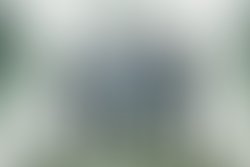 1341337920 10150672985977973 1629363326 n