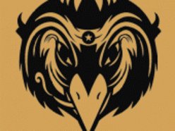 Image for The Black Crowes