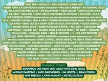 Bonnaroo Festival