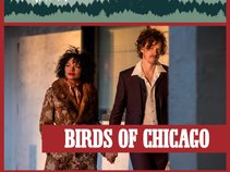 Birds of Chicago