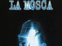 LARVA LAMOSCA CREW