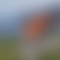 0668d8b64cc812cb59b17900d20859cbf94af998