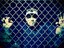 Aeightyone