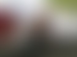 1362469874 441155272618078 322507292 o