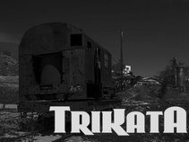 Trikata