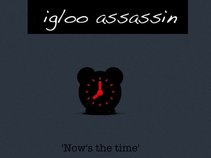 Igloo Assassin