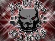 Rez Of War Dawgz