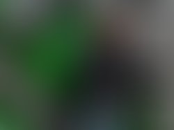 1454006741 ferlovin2