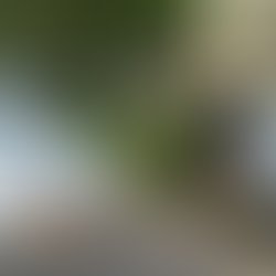 Img 20170623 100131 178