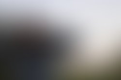 8f84bb82 a317 496e 820d ba354b0d5367