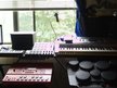Delicious Bush Music