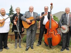 Image for Bluegrass Fever