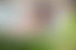 1369700979 mermaid with logo