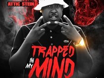Taoz Dha Boss