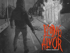 Image for Blodig Alvor