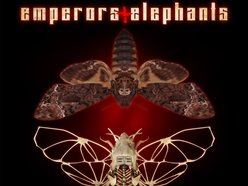 Image for Emperors and Elephants