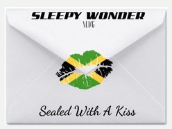 Image for Sleepy Wonder