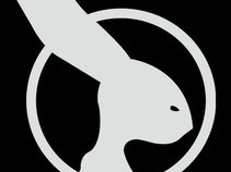 Watership Down