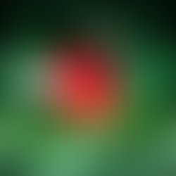 Received 455307898341150