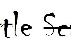 Image for Little Scream