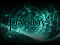 Matt Tate Music / Pavlov(3)