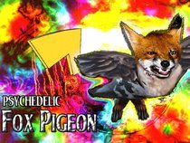 Psychedelic Fox Pigeon