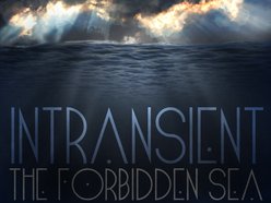 Image for Intransient