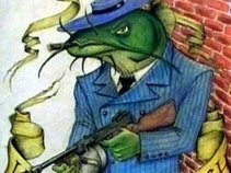 The KillerCatfish Band