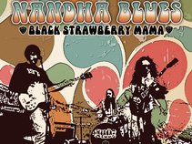 Nandha Blues Band