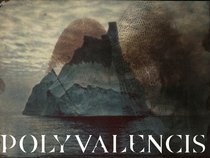 Polyvalencis