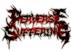 Image for Perverse Suffering