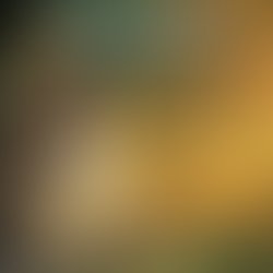 1409093847 sacred roots cover