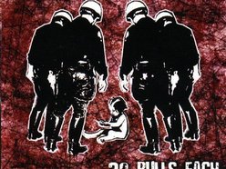 Image for 20 bulls each