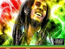 Roots Revelation