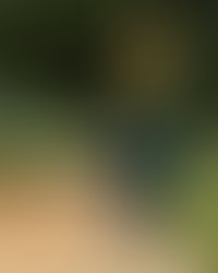 64fedf8e d05b 4e32 9d86 f08f5f3a5b33