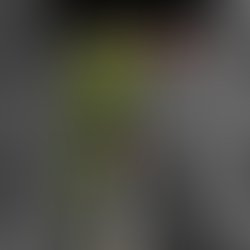 Img 20181224 191105 984