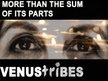 venusTRIBES (Jose DeChamp)