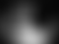 Untitled design 13 