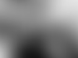 1421213207 artist 20111 1421213279