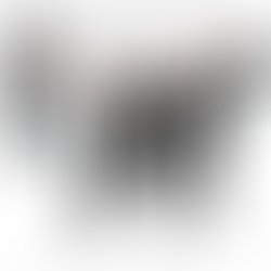 1440542781 artist 201204 1440542748
