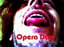 Opera Dog