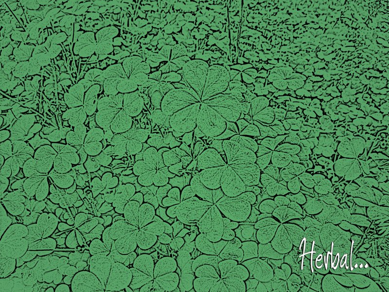 ReverbNation profile picture for @herbal