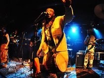 IRIE STILL