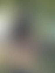 Img 3650