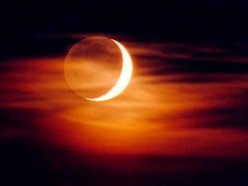 Image for black rose red moon