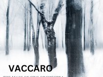 VACCARO & The Mass Of Sins Orchestra