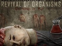 Shepherds of Rot