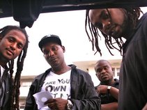 TMF: The Miami Family