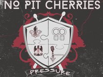 No Pit Cherries