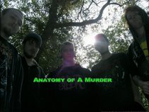 Anatomy of A Murder